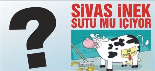 Süt Tüketimi Merak Ediliyor