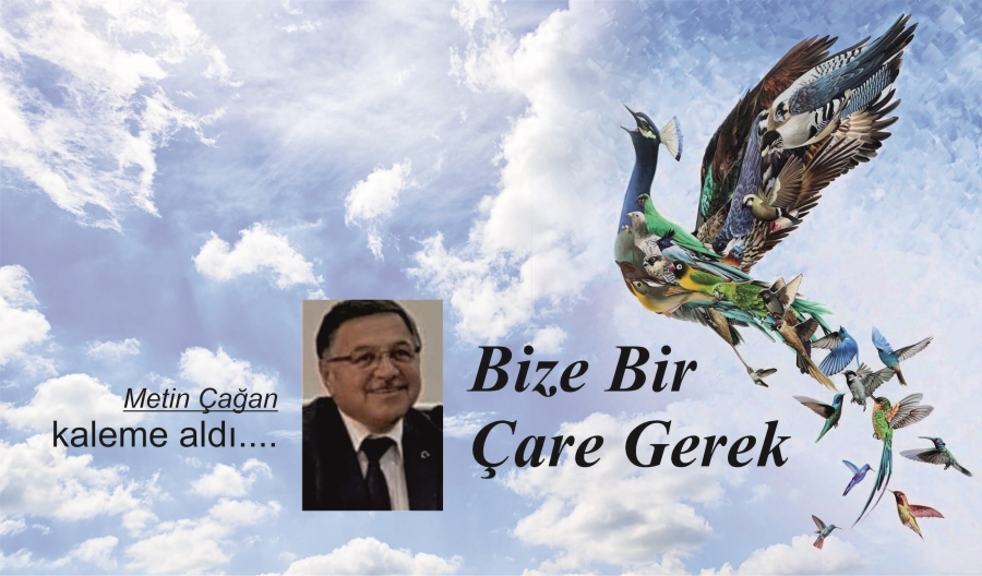 BİZE BİR ÇARE GEREK