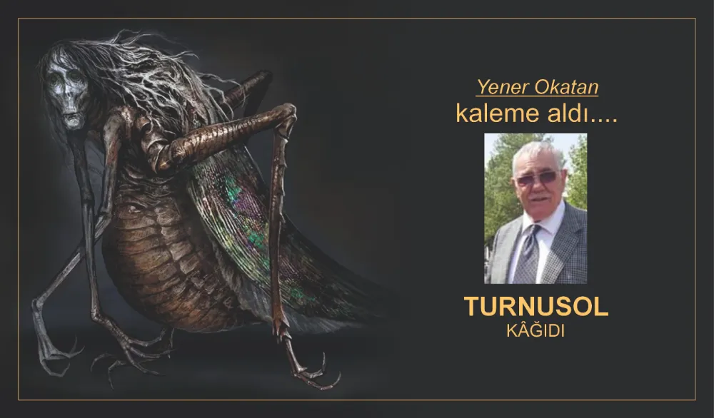 TURNUSOL KÂĞIDI