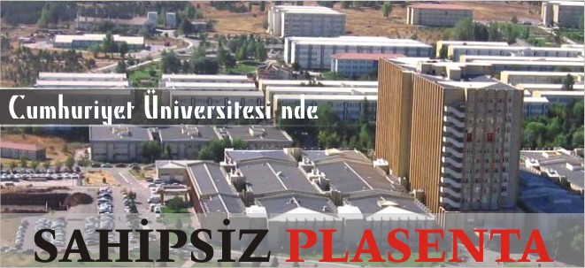 SAHİPSİZ ?PLASENTA?
