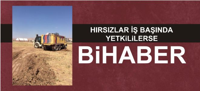 KUM HIRSIZLIĞI